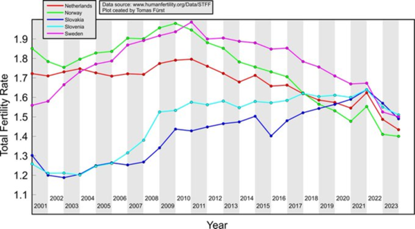 切符/International Journal of Risk & Safety in Medicine